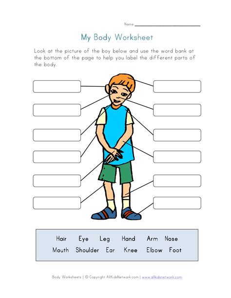 Body Parts Free Printables Worksheets Pdf - Riset