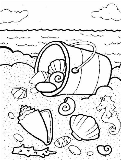 Coloring Pages Sea Shells at GetDrawings | Free download