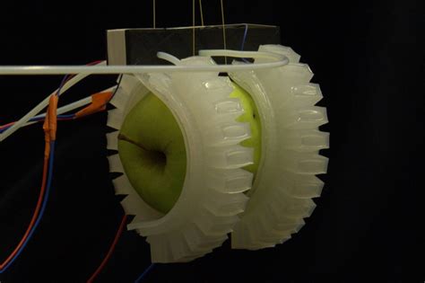 Sticky soft robots | Bioinspired Materials and Robotics Group | Tampere Universities