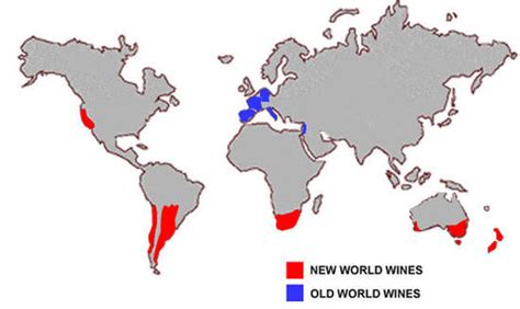 Old World Wine vs. New World Wine – CompassLongview