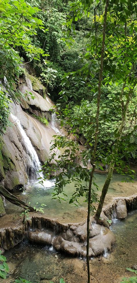 Nationalpark Palenque - Bewertungen und Fotos