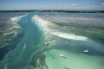 The Best Snorkeling From the Shore in Marathon, Florida | USA Today