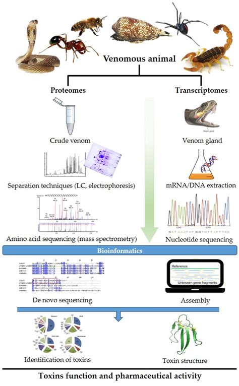 Figure 1 from Advances in venomics: Modern separation techniques and ...