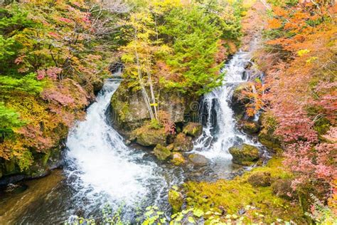 Nikko National Park, Tochigi, Japan Stock Image - Image of asia, autumn: 64320847