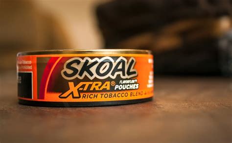 How to Use Skoal Pouches | Our Everyday Life