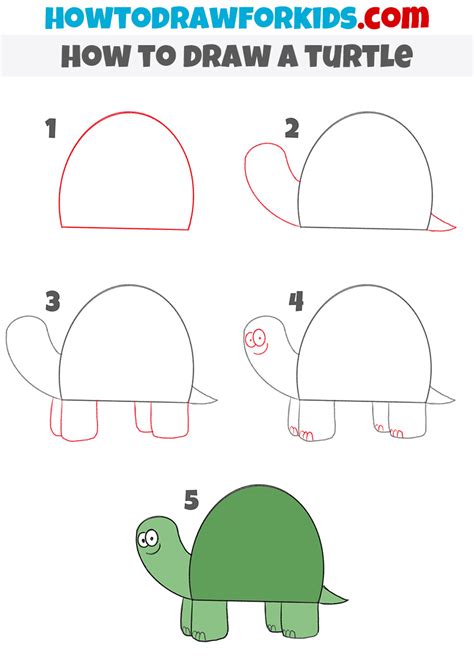 How to Draw a Turtle for Kindergarten - Easy Tutorial For Kids