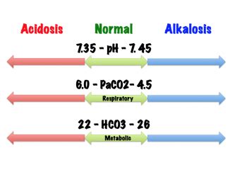 Arterial Blood Gases - Physiopedia