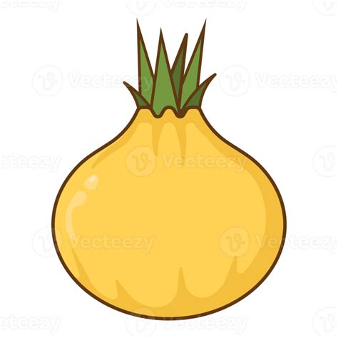 Onion Fruit Vegetable Fill Style 26830683 PNG