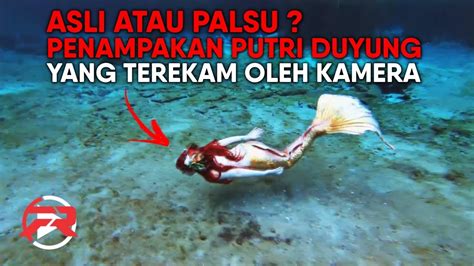 Kisah Nyata Putri Duyung Asli – Cerita | Dongeng Anak Nusantara