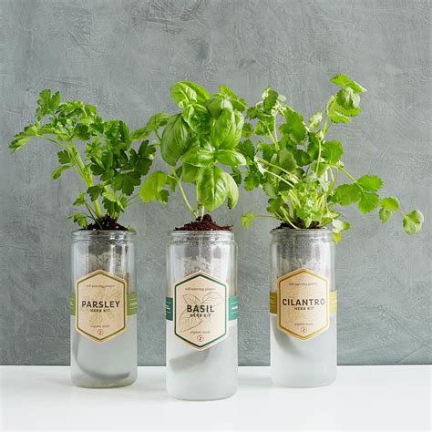 Kitchen Essentials Herb Planter | Indoor Herb Planter, Grow Herbs Indoors | UncommonGoods