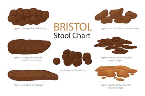 Premium Vector | Bristol stool form scale with faeces type images set of different types human ...