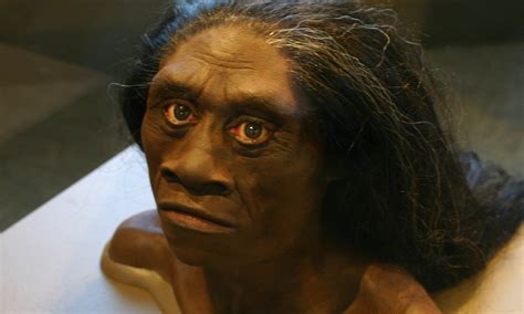 Investigating Homo Floresiensis and the Myth of the Ebu Gogo ...