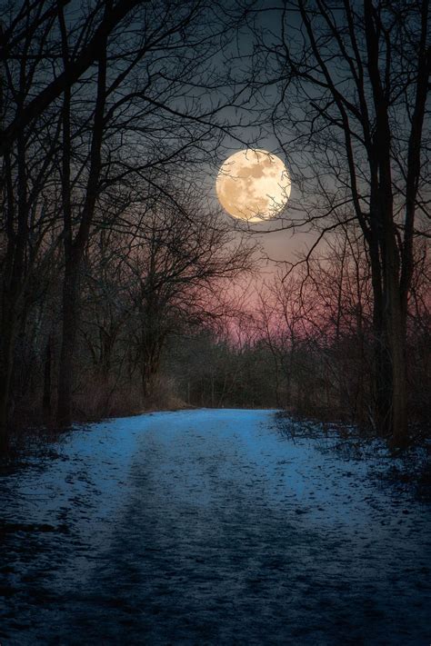 Full Wolf Moon rising over snow covered trail in Sugarcreek MetroPark ...