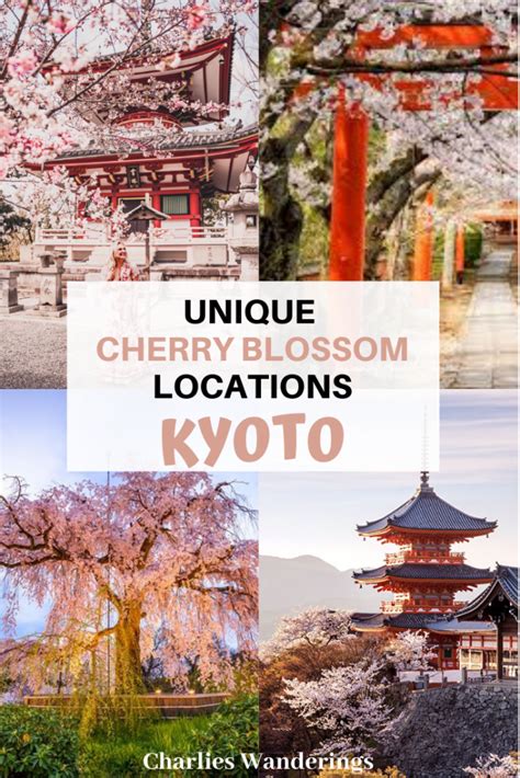 The Best Cherry Blossom Locations in Kyoto - Charlies Wanderings | Beautiful places in japan ...