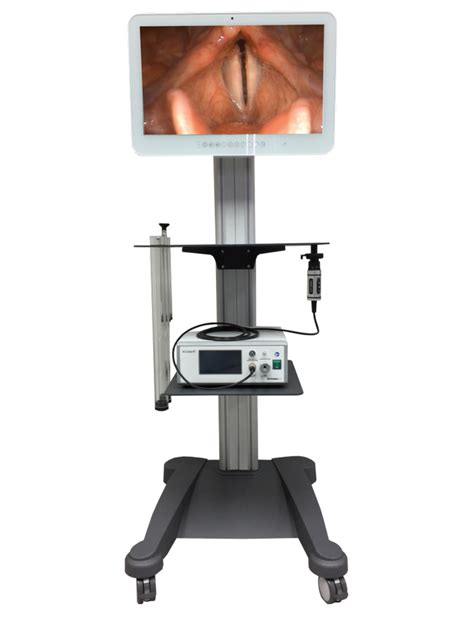 Ecleris LED Medical Stroboscopy System, For Laboratory at Rs 910000 in Chennai