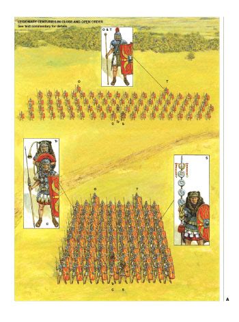 Roman Battle Tactics 109BC–AD313 by Ross Cowan, Adam Hook | Waterstones