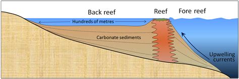 17.3 Landforms of Coastal Deposition – Physical Geology