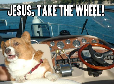 [Image - 606504] | Jesus Take The Wheel | Know Your Meme