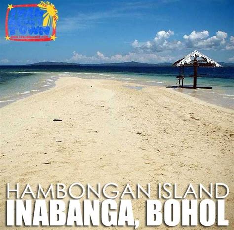 Bohol: Rare Pride Campaign launched for Inabanga's Hambongan Island ...