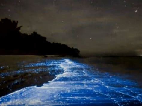 9 Unusual Beaches in India - Nativeplanet