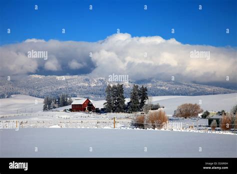 Palouse hills winter scenic Idaho Stock Photo - Alamy