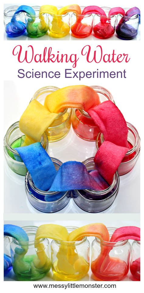 Rainbow Walking Water Science Experiment | Water science experiments, Science experiments, Easy ...