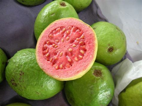 Buy Thai Guava (Red Inside) plant » GETSVIEW MARKET