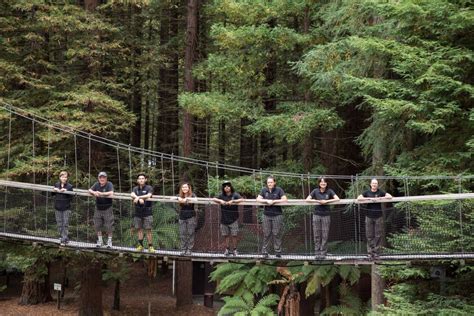 About Us - Redwoods Treewalk®