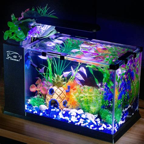 5 Gallon Fish Tank Glass Small Aquarium Starter Kits Self Cleaning ...