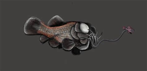 anglerfish i by mamatlisham on DeviantArt