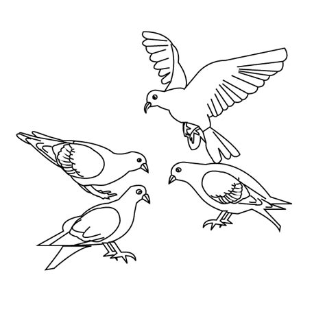 صور تلوين حيوانات وطيور للتلوين : | Bird coloring pages, Coloring pages, Bird