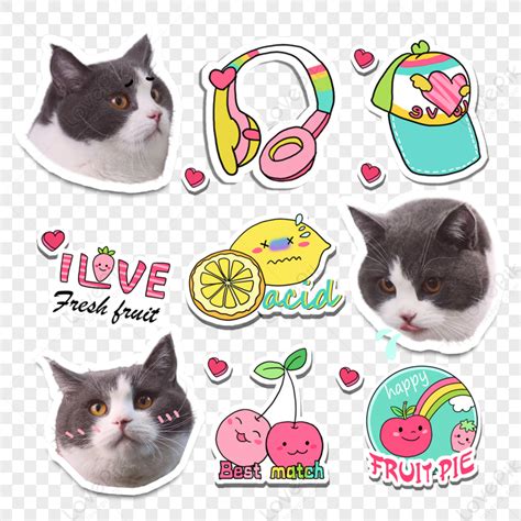 Cute Cat Emoji Pack,memes,packing,meme Free PNG And Clipart Image For Free Download - Lovepik ...