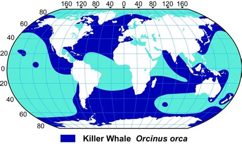 WHERE DO KILLER WHALES LIVE? |The Garden of Eaden