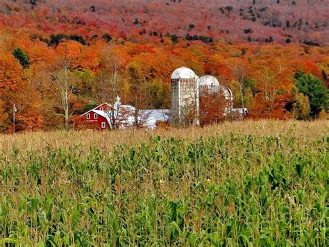 Vermont Farm - Corel Discovery Center