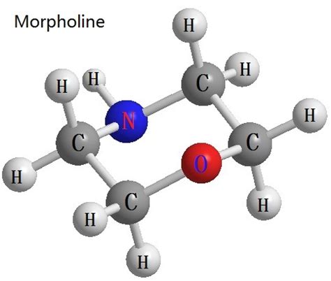 Morpholine | 110-91-8