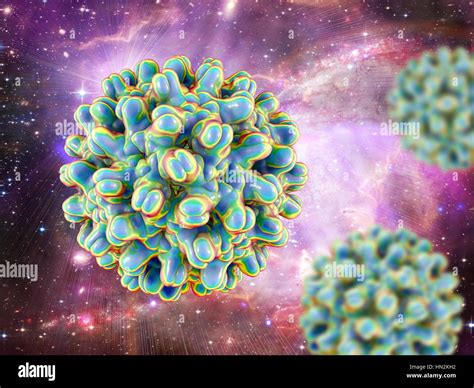 Hepatitis B virus particle. Computer illustration of the capsid of the hepatitis B virus (HBV ...