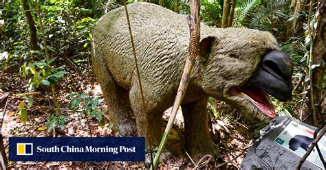 ‘Giant wombat’ fossil discovery in Australia leaves vital clues of life 40,000 years ago | South ...