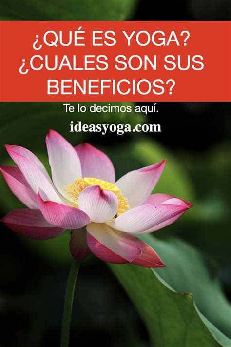 LA YOGA Y SUS BENEFICIOS - YOGA ASANAS POSES - Posturas. | Yoga beneficios, Yoga, Cursos de yoga