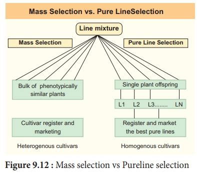 Conventional Plant Breeding Methods