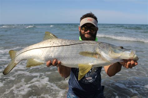 Fly Fishing for Snook on the Beaches of Florida - Flylords Mag