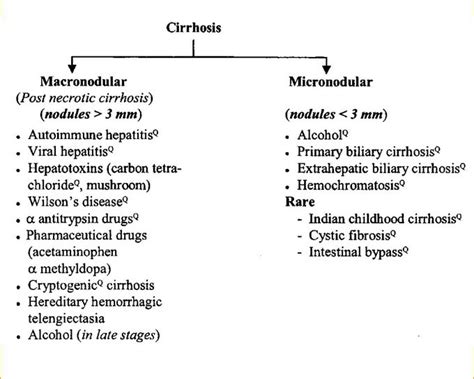 Causes Cirrhosis of Liver - MEDizzy