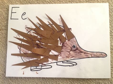 Ee is for echidna Draw the outline of your echidna Use brown triangles to stick on the spikes ...