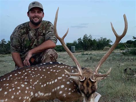 Whitetail & Exotic Hunts in Texas :: Mayfield Ranch, Christoval, TX