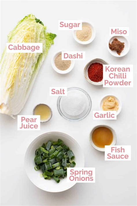 Easy Korean Kimchi - Fermented Spicy Cabbage | Wandercooks