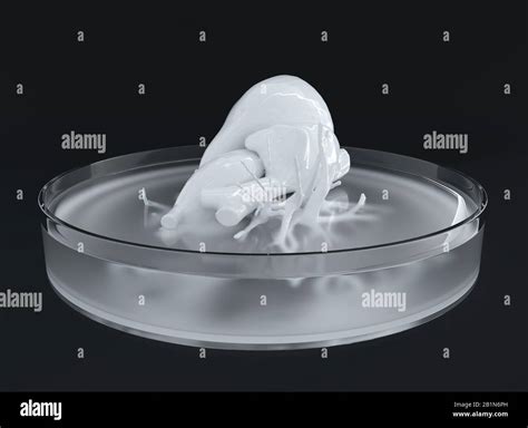 Bioprint of a heart, 3D printing of a heart, concept of the future in ...