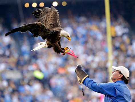 Touchdown - Photos: Steelers vs. Chargers - ESPN