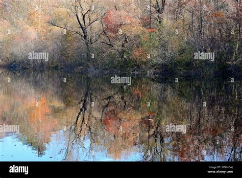 autumn reflection on the lake Stock Photo - Alamy