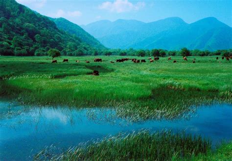 SHENNONGJIA UNESCO GLOBAL GEOPARK-Global Network of National Geoparks