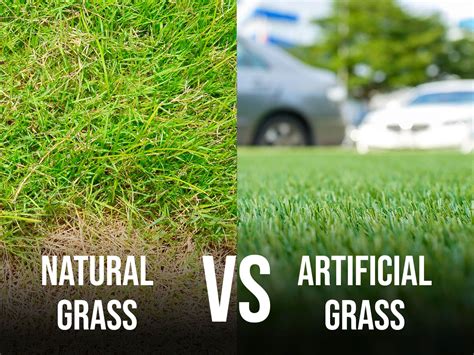 Natural Grass vs. Artificial Grass Installation in Modesto, CA