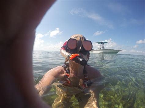 The Best Snorkeling Spots In Biscayne National Park – DesertDivers